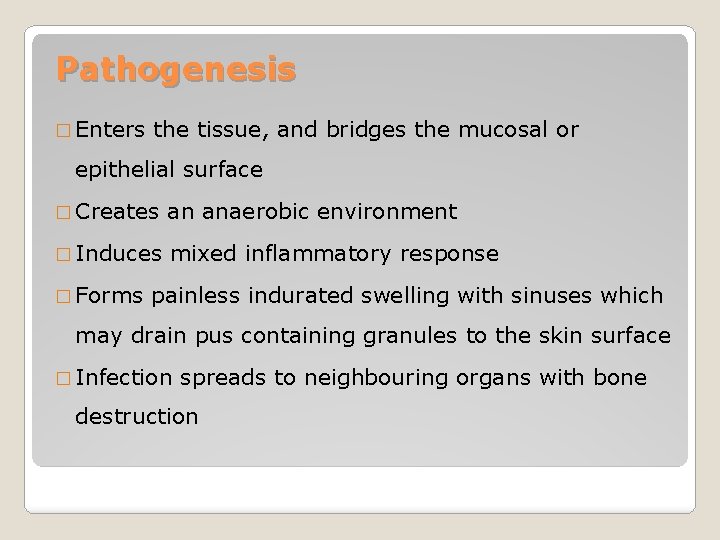 Pathogenesis � Enters the tissue, and bridges the mucosal or epithelial surface � Creates