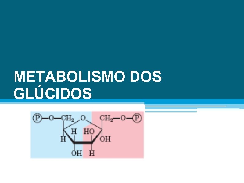 METABOLISMO DOS GLÚCIDOS 