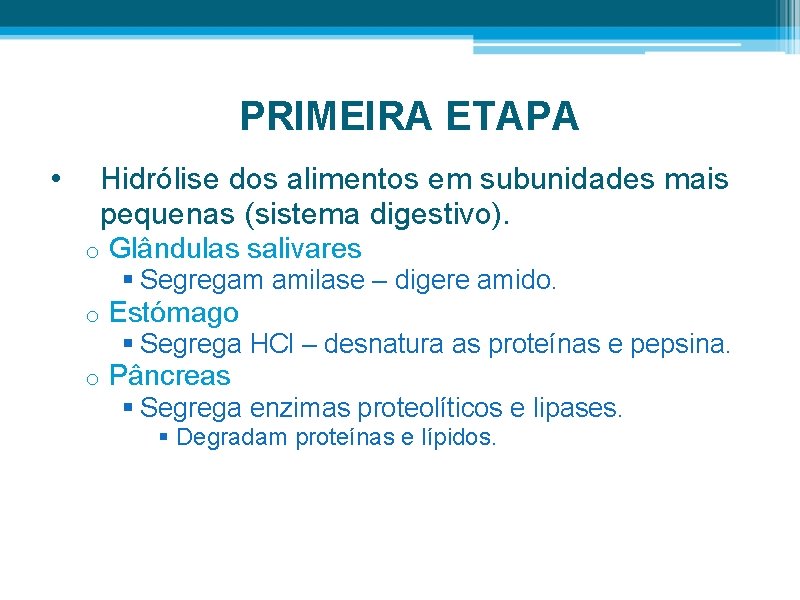 PRIMEIRA ETAPA • Hidrólise dos alimentos em subunidades mais pequenas (sistema digestivo). o Glândulas