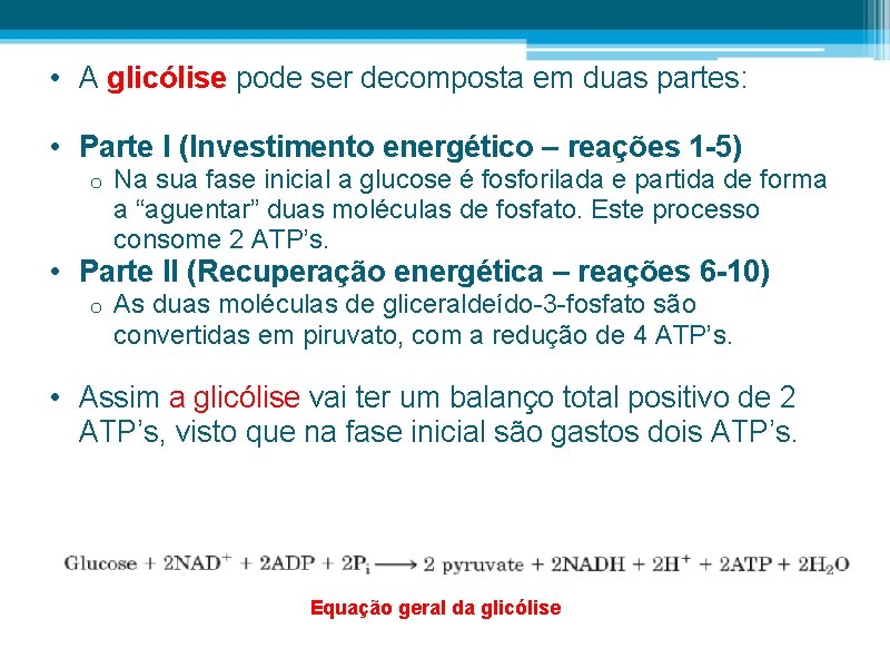  • A glicólise pode ser decomposta em duas partes: • Parte I (Investimento