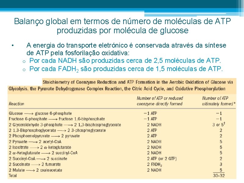 Balanço global em termos de número de moléculas de ATP produzidas por molécula de