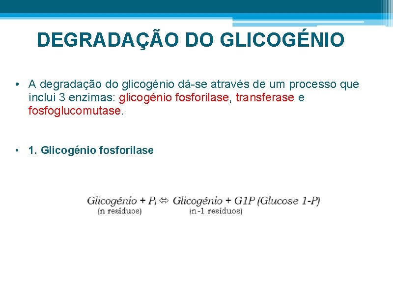 DEGRADAÇÃO DO GLICOGÉNIO • A degradação do glicogénio dá-se através de um processo que