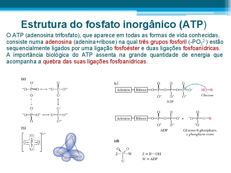 Estrutura do fosfato inorgânico (ATP) O ATP (adenosina trifosfato), que aparece em todas as