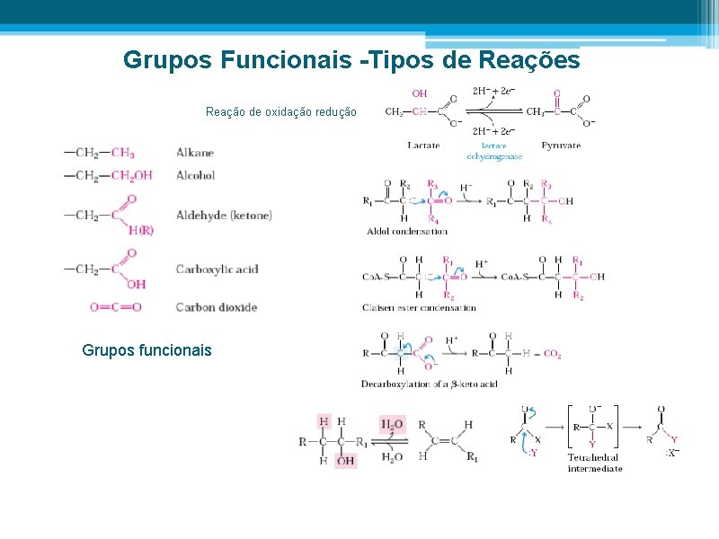 Grupos Funcionais -Tipos de Reações Reação de oxidação redução Grupos funcionais 