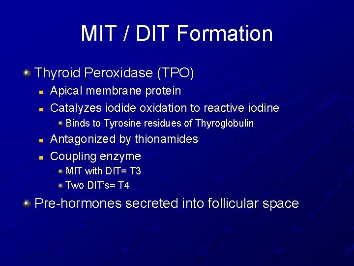 MIT / DIT Formation Thyroid Peroxidase (TPO) n n Apical membrane protein Catalyzes iodide