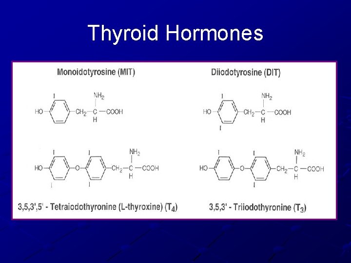 Thyroid Hormones 