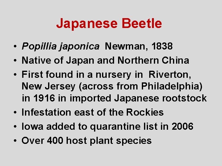 Japanese Beetle • Popillia japonica Newman, 1838 • Native of Japan and Northern China