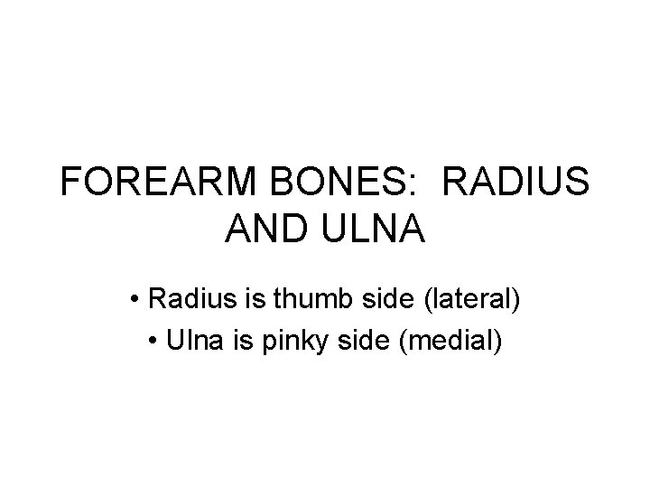 FOREARM BONES: RADIUS AND ULNA • Radius is thumb side (lateral) • Ulna is