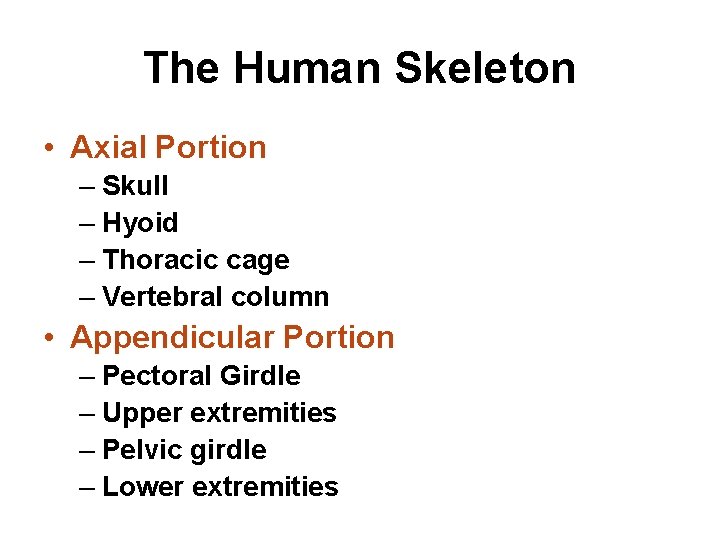 The Human Skeleton • Axial Portion – Skull – Hyoid – Thoracic cage –