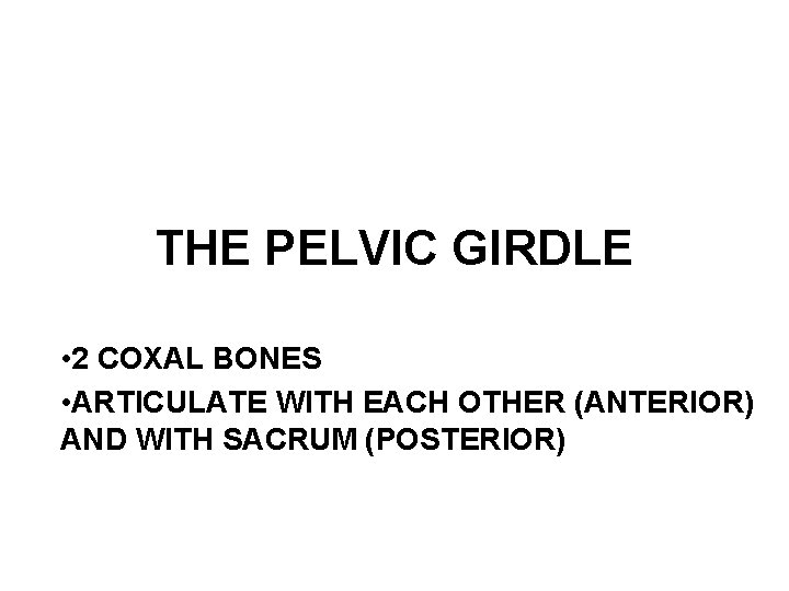 THE PELVIC GIRDLE • 2 COXAL BONES • ARTICULATE WITH EACH OTHER (ANTERIOR) AND