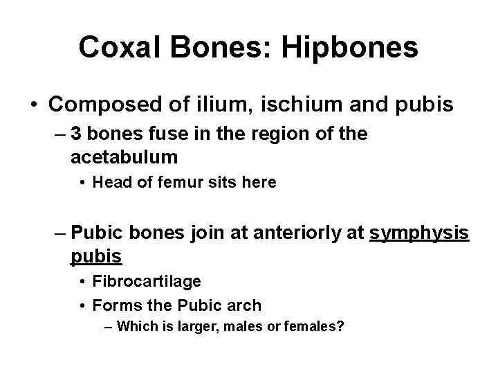 Coxal Bones: Hipbones • Composed of ilium, ischium and pubis – 3 bones fuse