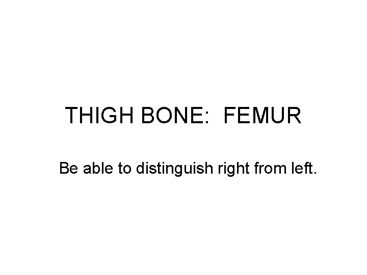 THIGH BONE: FEMUR Be able to distinguish right from left. 