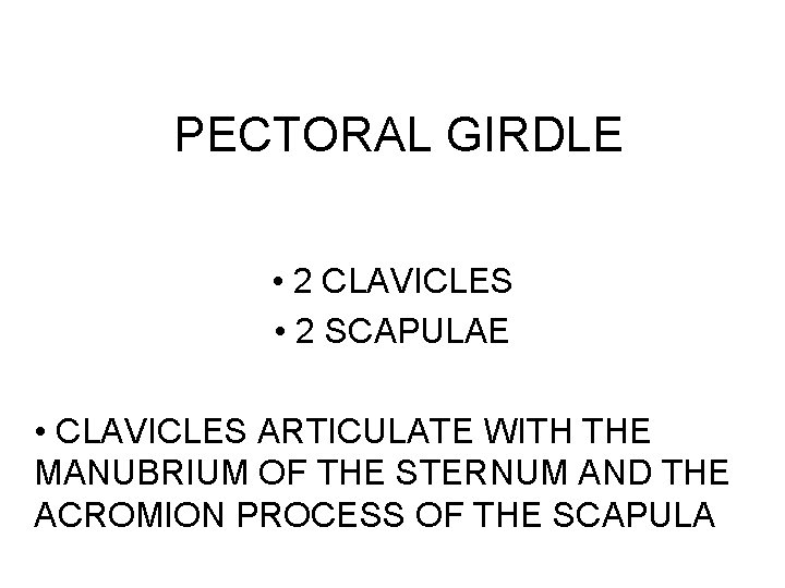 PECTORAL GIRDLE • 2 CLAVICLES • 2 SCAPULAE • CLAVICLES ARTICULATE WITH THE MANUBRIUM