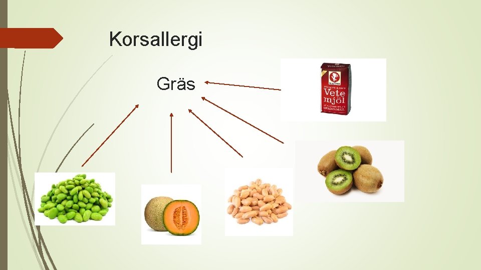 Korsallergi Gräs 