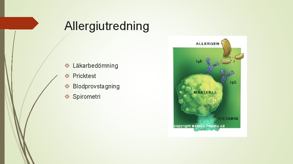 Allergiutredning Läkarbedömning Pricktest Blodprovstagning Spirometri 