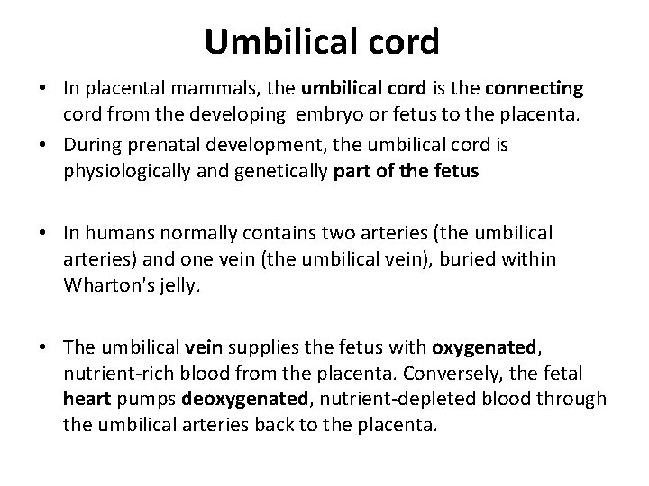 Umbilical cord • In placental mammals, the umbilical cord is the connecting cord from