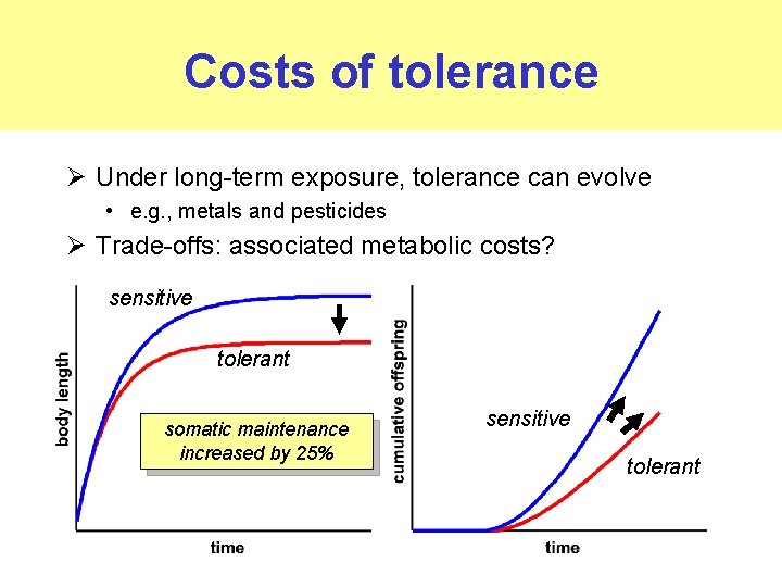 Costs of tolerance Ø Under long-term exposure, tolerance can evolve • e. g. ,