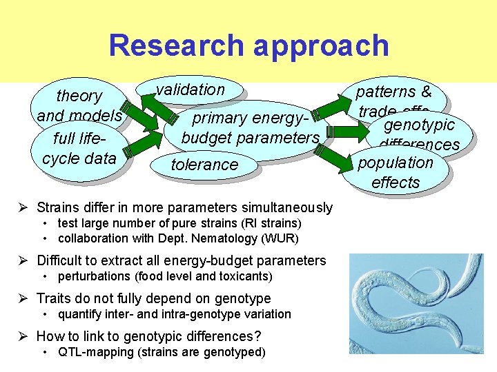 Research approach theory and models full lifecycle data validation primary energybudget parameters tolerance Ø