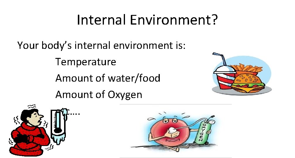 Internal Environment? Your body’s internal environment is: Temperature Amount of water/food Amount of Oxygen