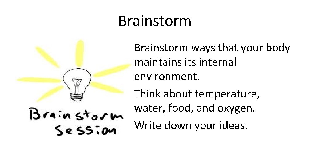 Brainstorm • Brainstorm ways that your body maintains its internal environment. • Think about