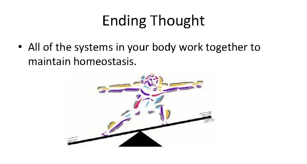 Ending Thought • All of the systems in your body work together to maintain