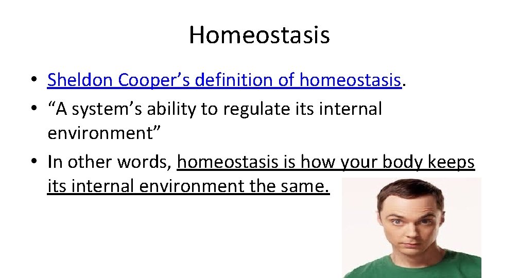 Homeostasis • Sheldon Cooper’s definition of homeostasis. • “A system’s ability to regulate its