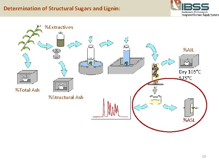  Determination of Structural Sugars and Lignin: %Extractives %AIL Dry 105°C 575°C %Total Ash