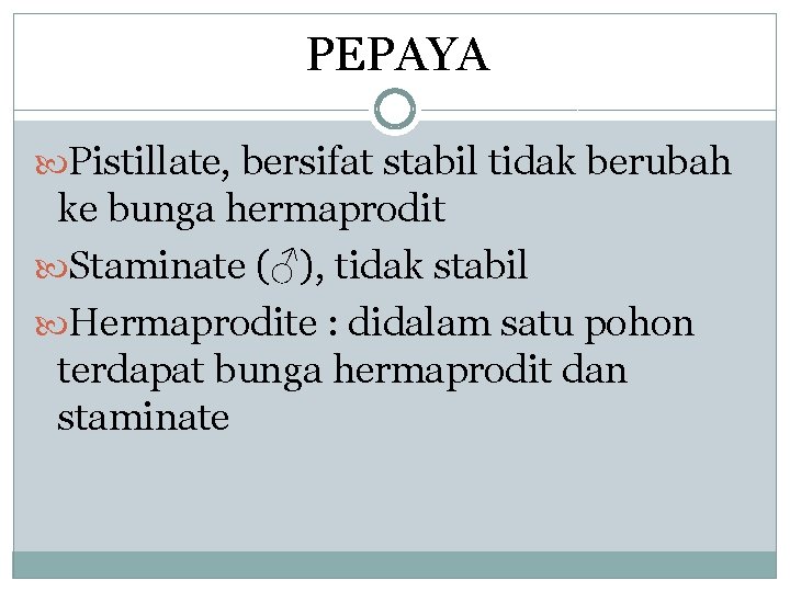 PEPAYA Pistillate, bersifat stabil tidak berubah ke bunga hermaprodit Staminate (♂), tidak stabil Hermaprodite