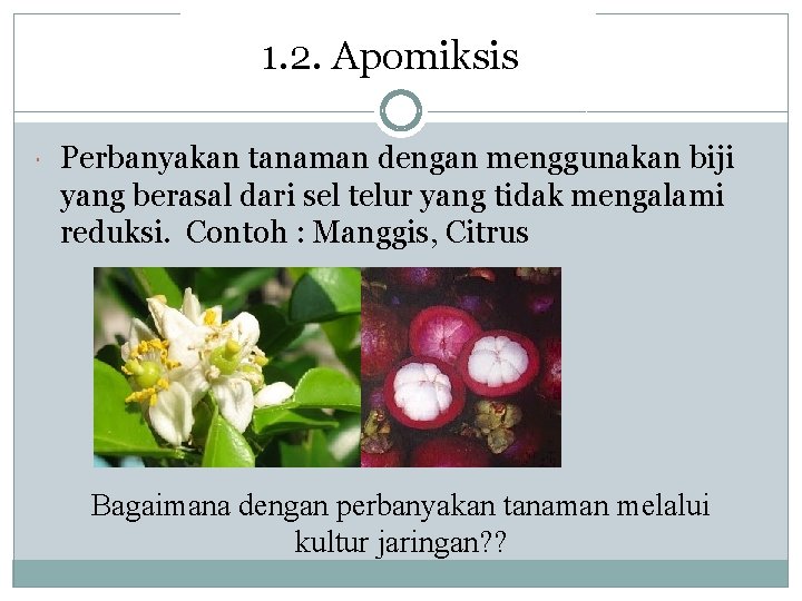 1. 2. Apomiksis Perbanyakan tanaman dengan menggunakan biji yang berasal dari sel telur yang