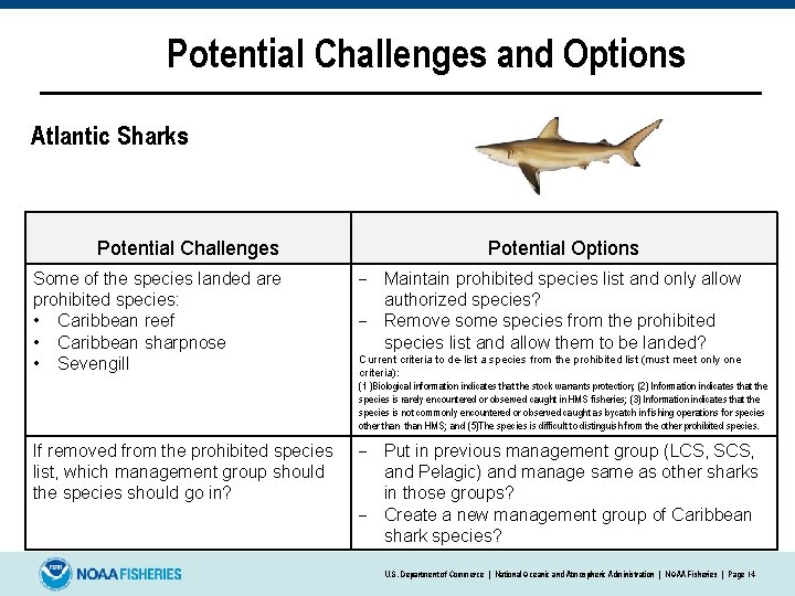 Potential Challenges and Options Atlantic Sharks Potential Challenges Potential Options Some of the species