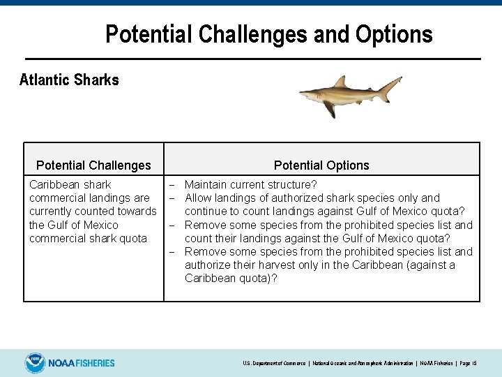 Potential Challenges and Options Atlantic Sharks: Potential Challenges Potential Options Caribbean shark – Maintain