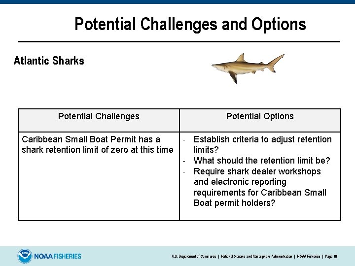 Potential Challenges and Options Atlantic Sharks: Potential Challenges Potential Options Caribbean Small Boat Permit