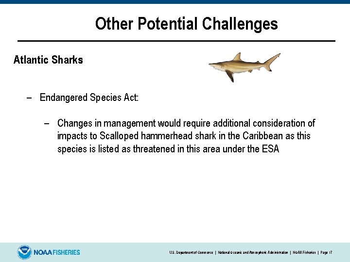 Other Potential Challenges Atlantic Sharks: – Endangered Species Act: – Changes in management would