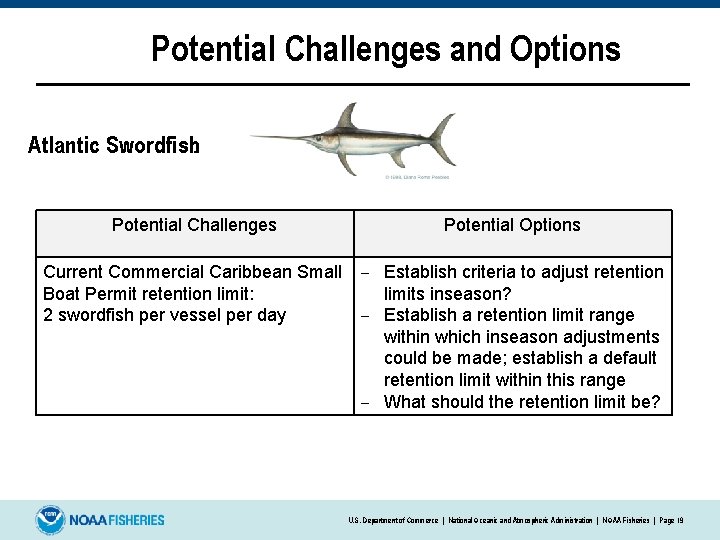 Potential Challenges and Options Atlantic Swordfish: Potential Challenges Potential Options Current Commercial Caribbean Small