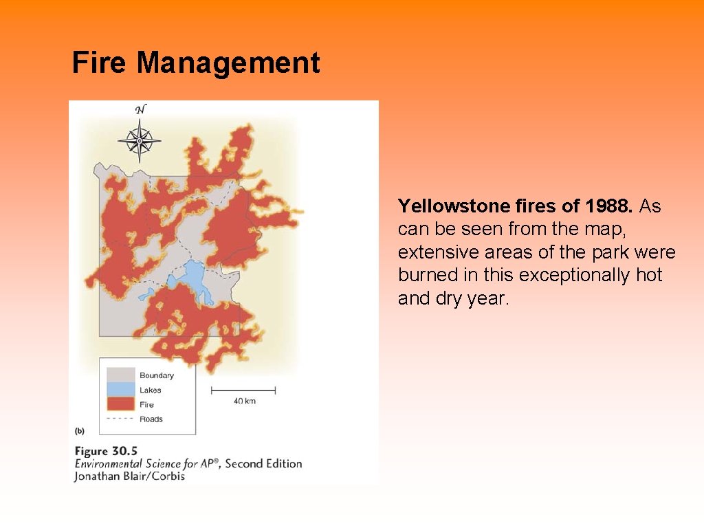 Fire Management Yellowstone fires of 1988. As can be seen from the map, extensive
