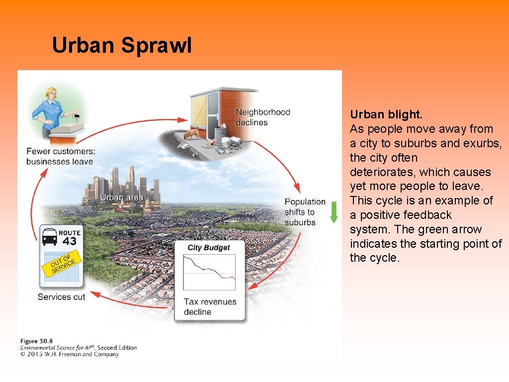 Urban Sprawl Urban blight. As people move away from a city to suburbs and