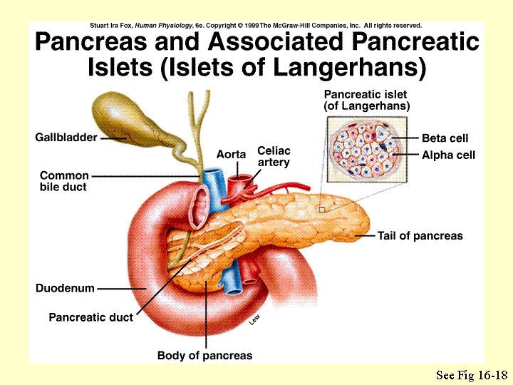 See Fig 16 -18 