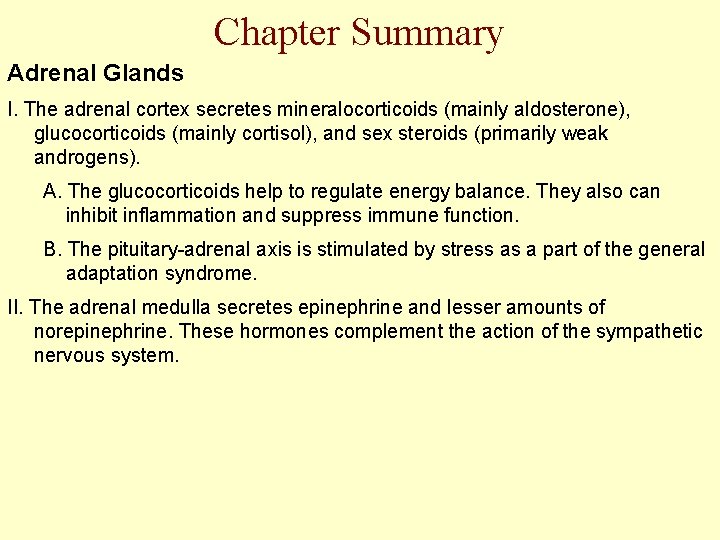 Chapter Summary Adrenal Glands I. The adrenal cortex secretes mineralocorticoids (mainly aldosterone), glucocorticoids (mainly