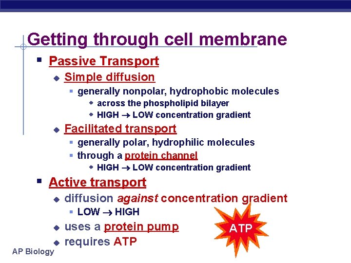 Getting through cell membrane § Passive Transport u Simple diffusion § generally nonpolar, hydrophobic