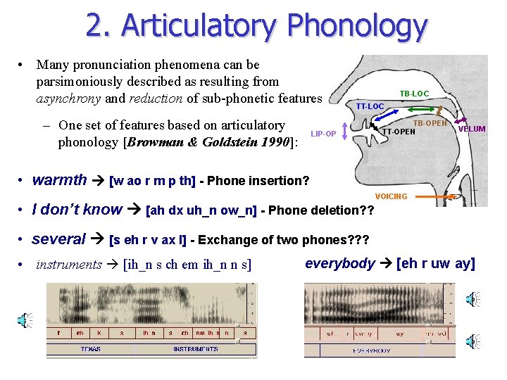 2. Articulatory Phonology • Many pronunciation phenomena can be parsimoniously described as resulting from