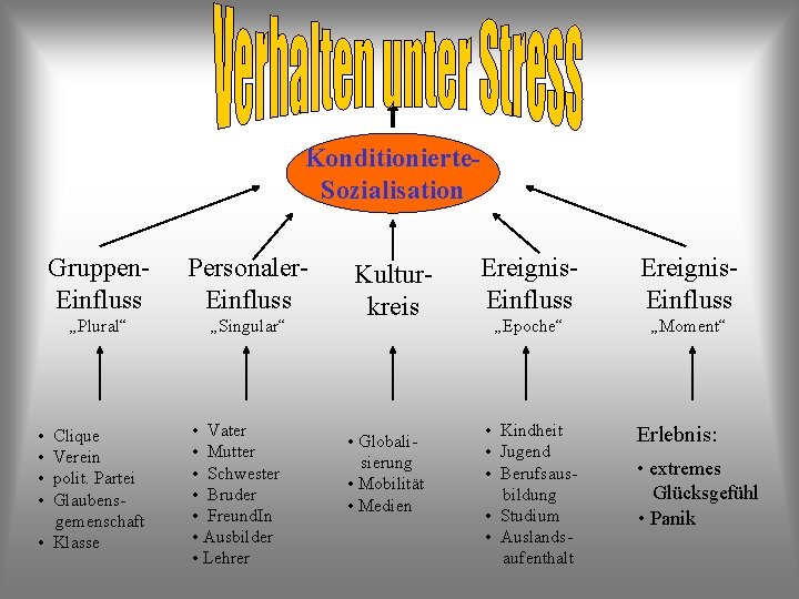 Konditionierte. Sozialisation • • Gruppen. Einfluss Personaler. Einfluss „Plural“ „Singular“ Clique Verein polit. Partei