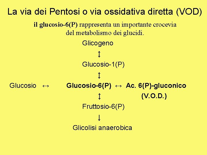 La via dei Pentosi o via ossidativa diretta (VOD) il glucosio-6(P) rappresenta un importante