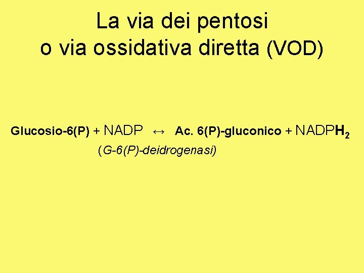 La via dei pentosi o via ossidativa diretta (VOD) Glucosio-6(P) + NADP ↔ Ac.