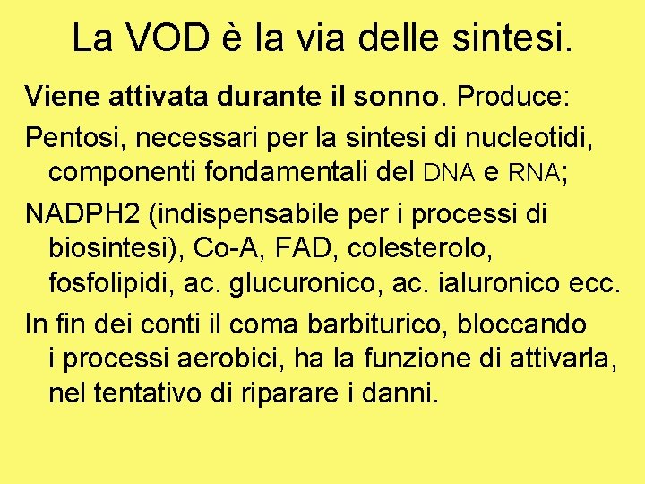 La VOD è la via delle sintesi. Viene attivata durante il sonno. Produce: Pentosi,