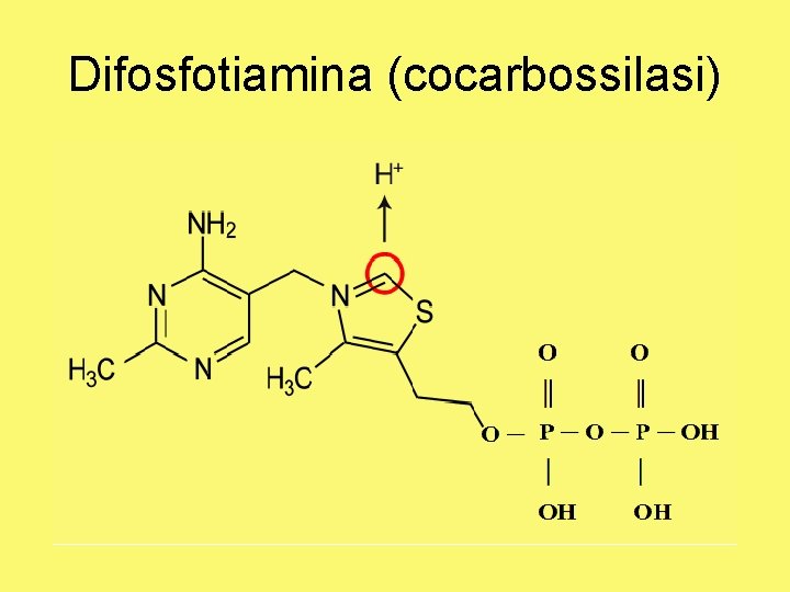 Difosfotiamina (cocarbossilasi) 