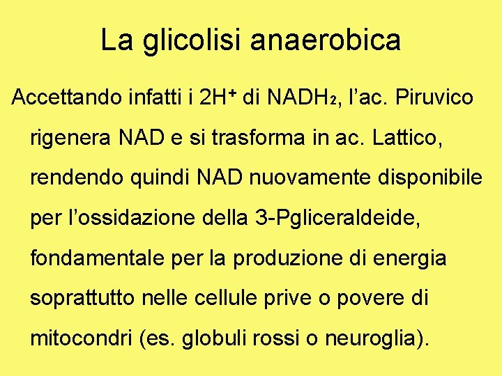 La glicolisi anaerobica Accettando infatti i 2 H+ di NADH 2, l’ac. Piruvico rigenera