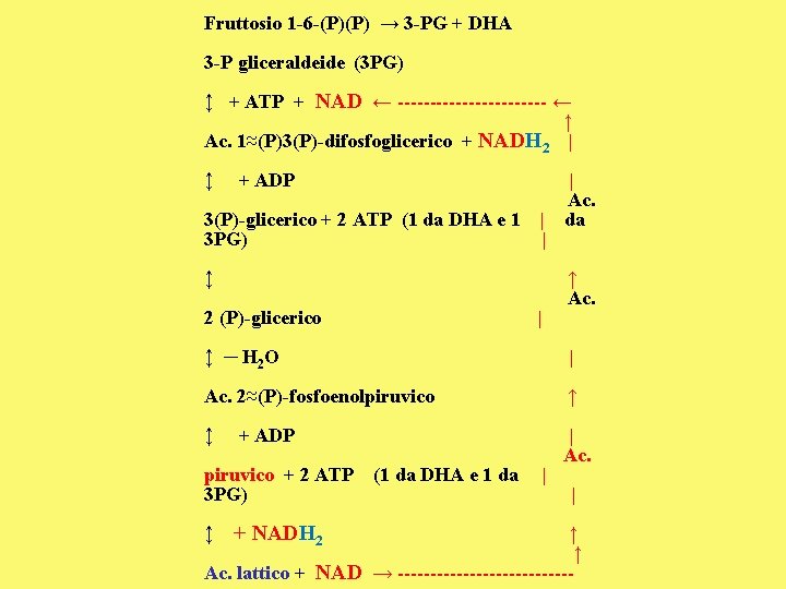 Fruttosio 1 -6 -(P)(P) → 3 -PG + DHA 3 -P gliceraldeide (3 PG)