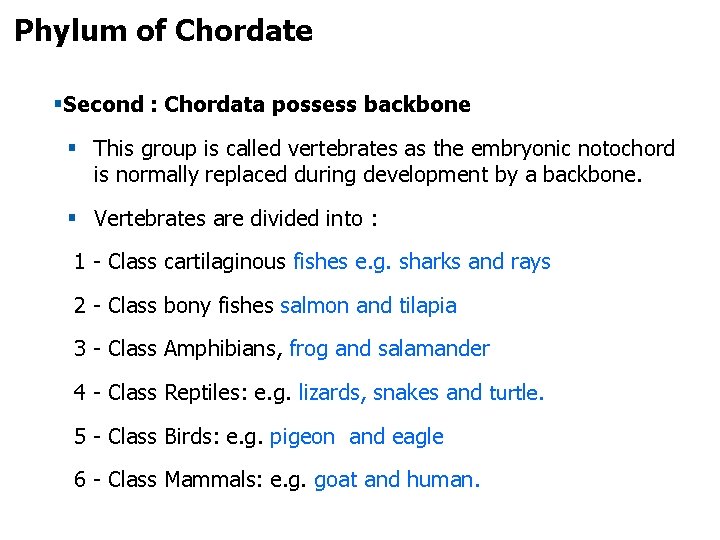 Phylum of Chordate §Second : Chordata possess backbone § This group is called vertebrates