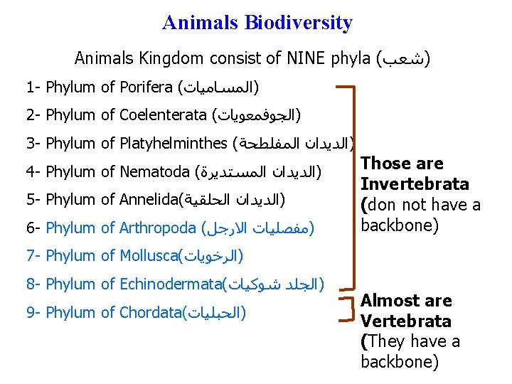 Animals Biodiversity Animals Kingdom consist of NINE phyla ( )ﺷﻌﺐ 1 - Phylum of