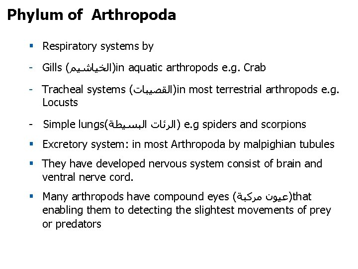 Phylum of Arthropoda § Respiratory systems by - Gills ( )ﺍﻟﺨﻴﺎﺷﻴﻢ in aquatic arthropods